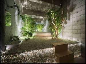 amazing-little-jungle-indoor-garden-design-ideas-desain-taman-kecil