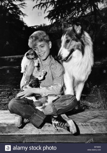 jon-provost-dog-lassie-1954-BPA805